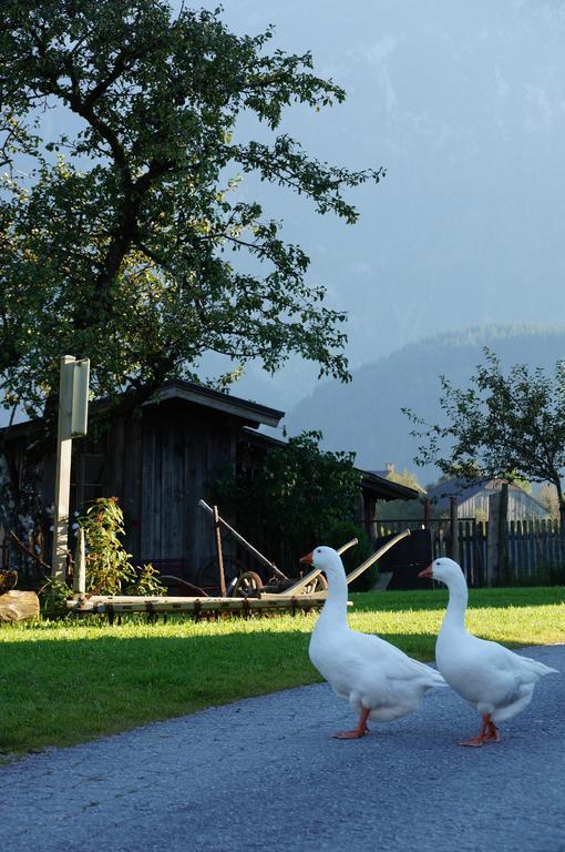 Ferienwohnungen Rettenbacher Abtenau Exterior foto