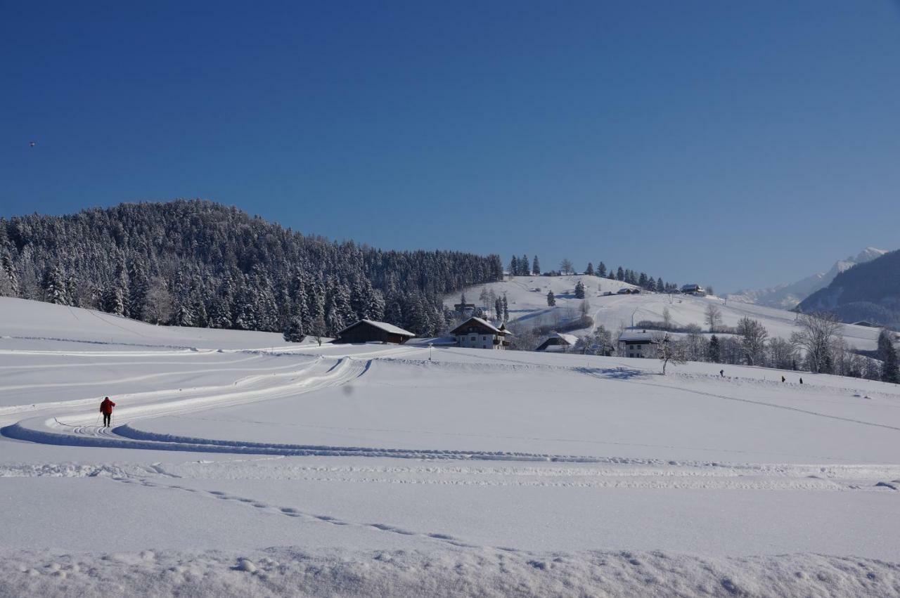 Ferienwohnungen Rettenbacher Abtenau Exterior foto