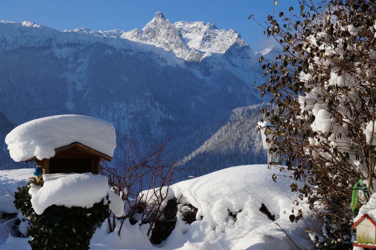 Ferienwohnungen Rettenbacher Abtenau Exterior foto